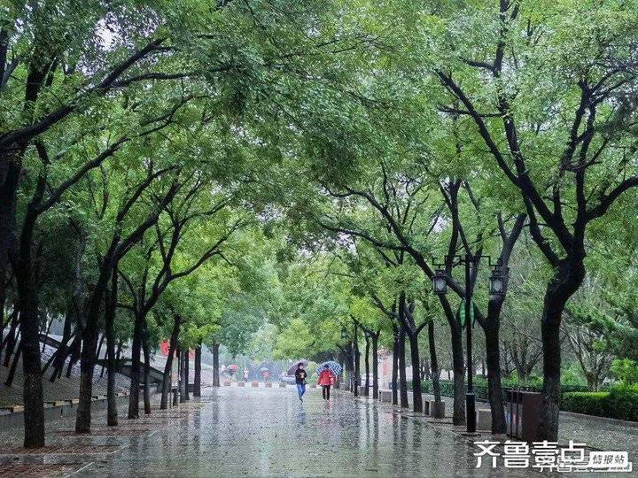 重阳节是什么节（重阳节的时间和由来）