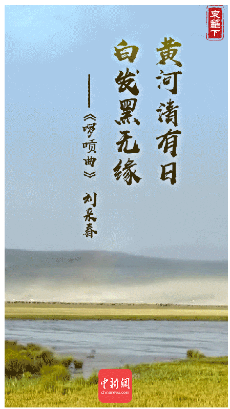 有关黄河的诗句有哪些（赞美黄河的千古名句）