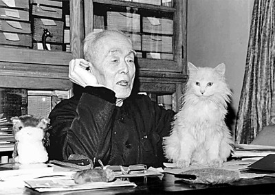 季羡林的作品有哪些（季羡林的散文集代表作）