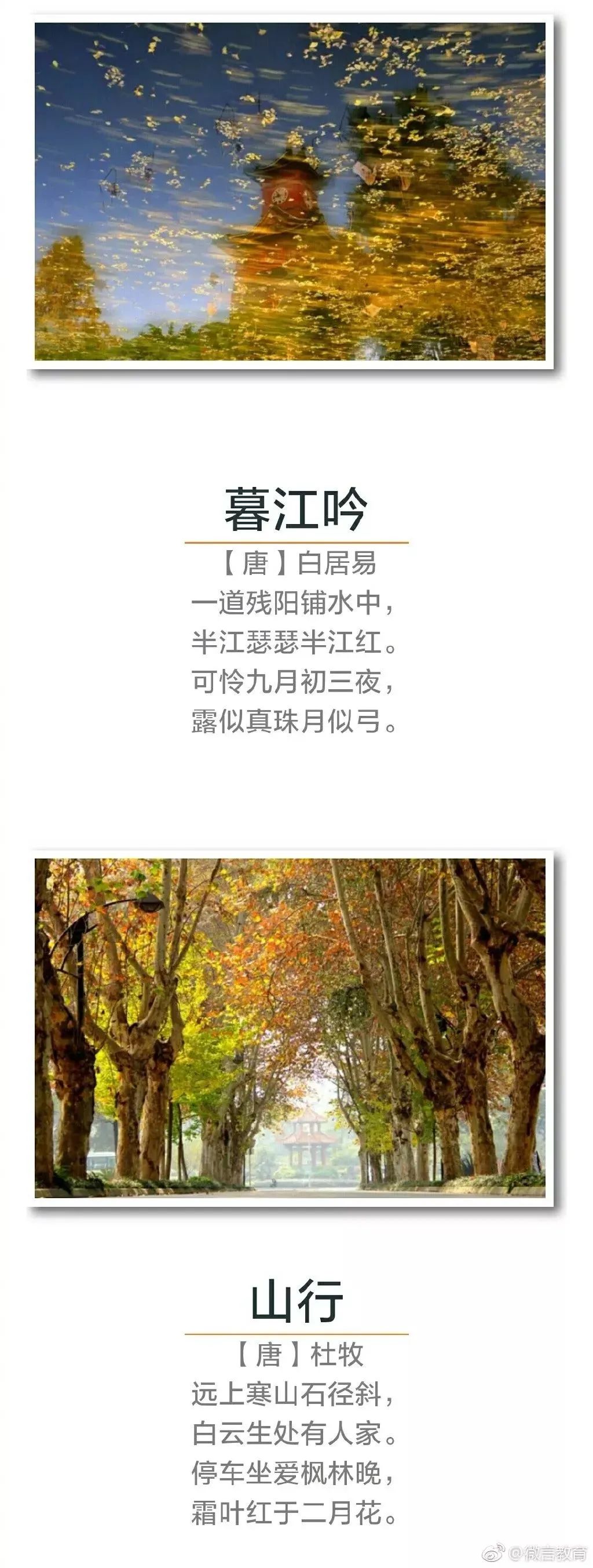 秋天诗句经典名句（关于秋天的千古名句）