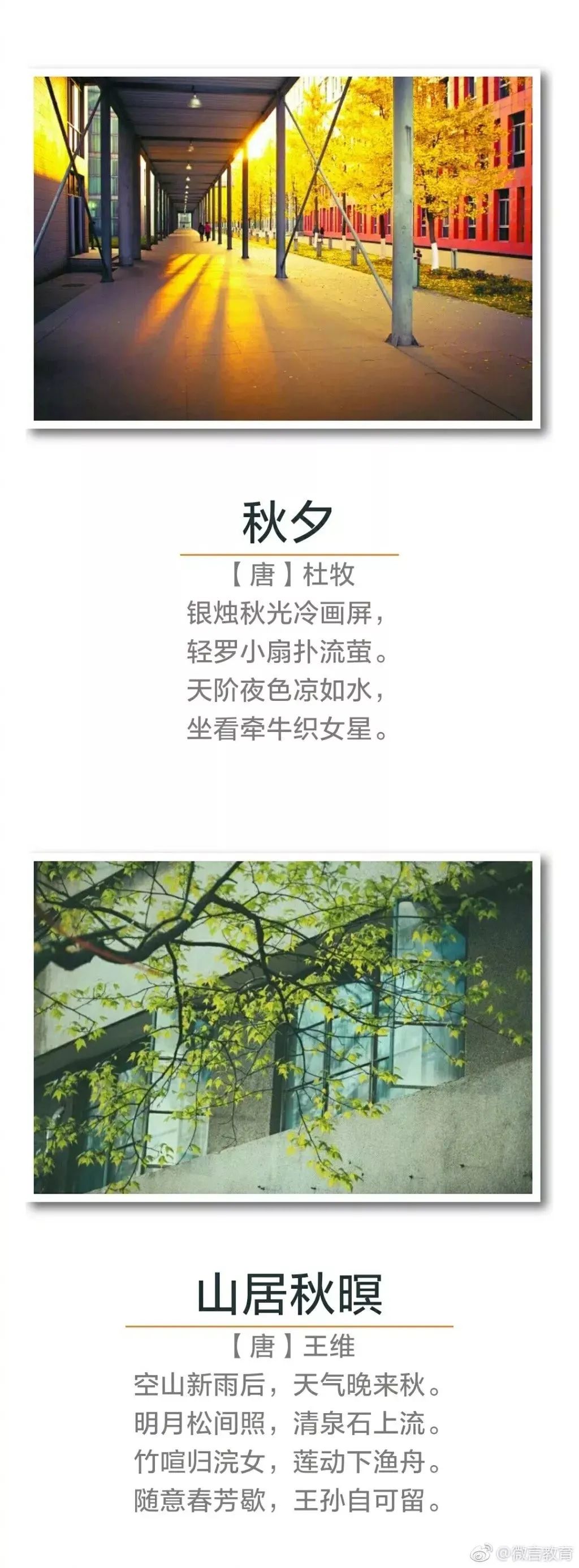 秋天诗句经典名句（关于秋天的千古名句）