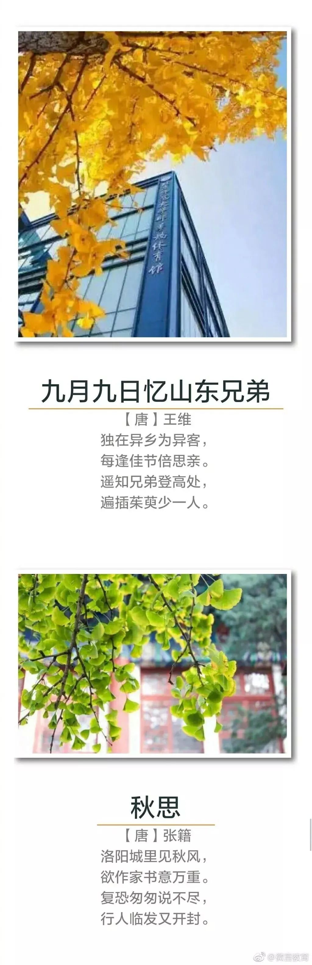 秋天诗句经典名句（关于秋天的千古名句）