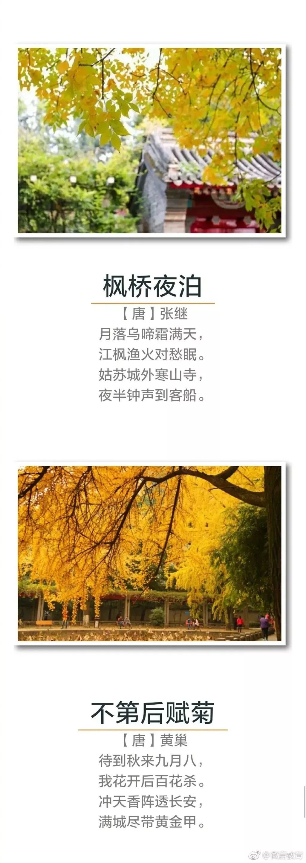 秋天诗句经典名句（关于秋天的千古名句）