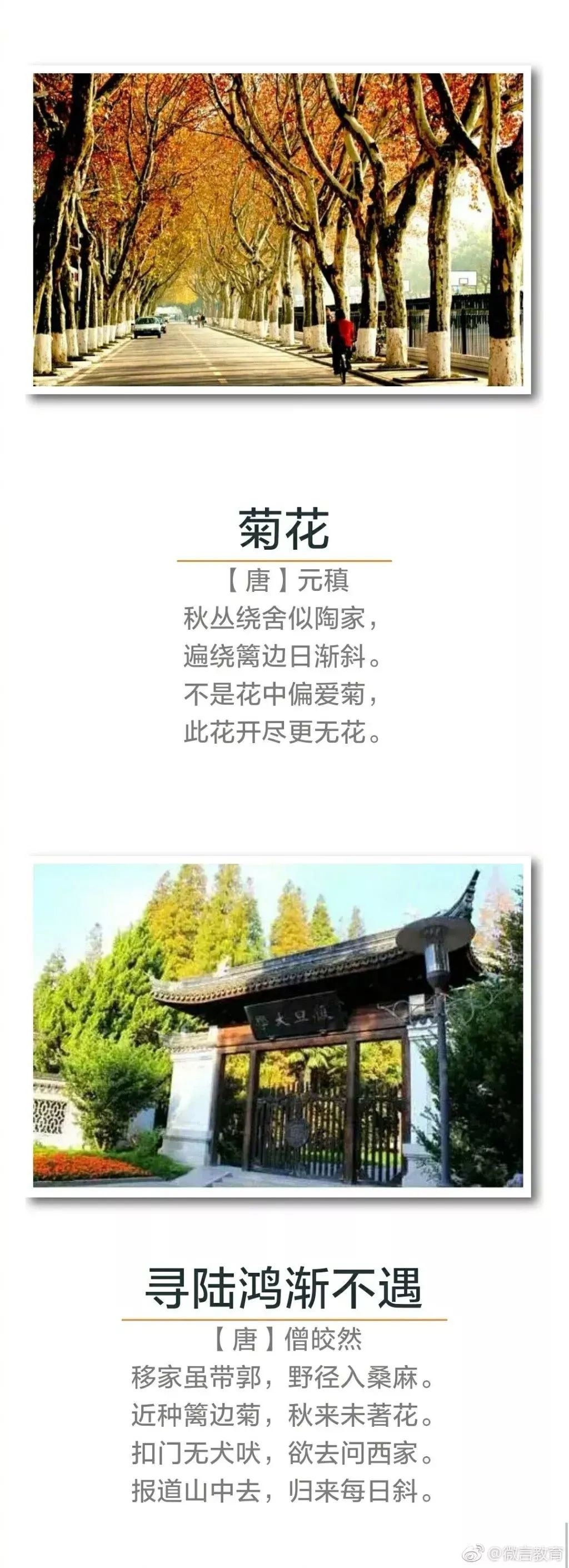 秋天诗句经典名句（关于秋天的千古名句）