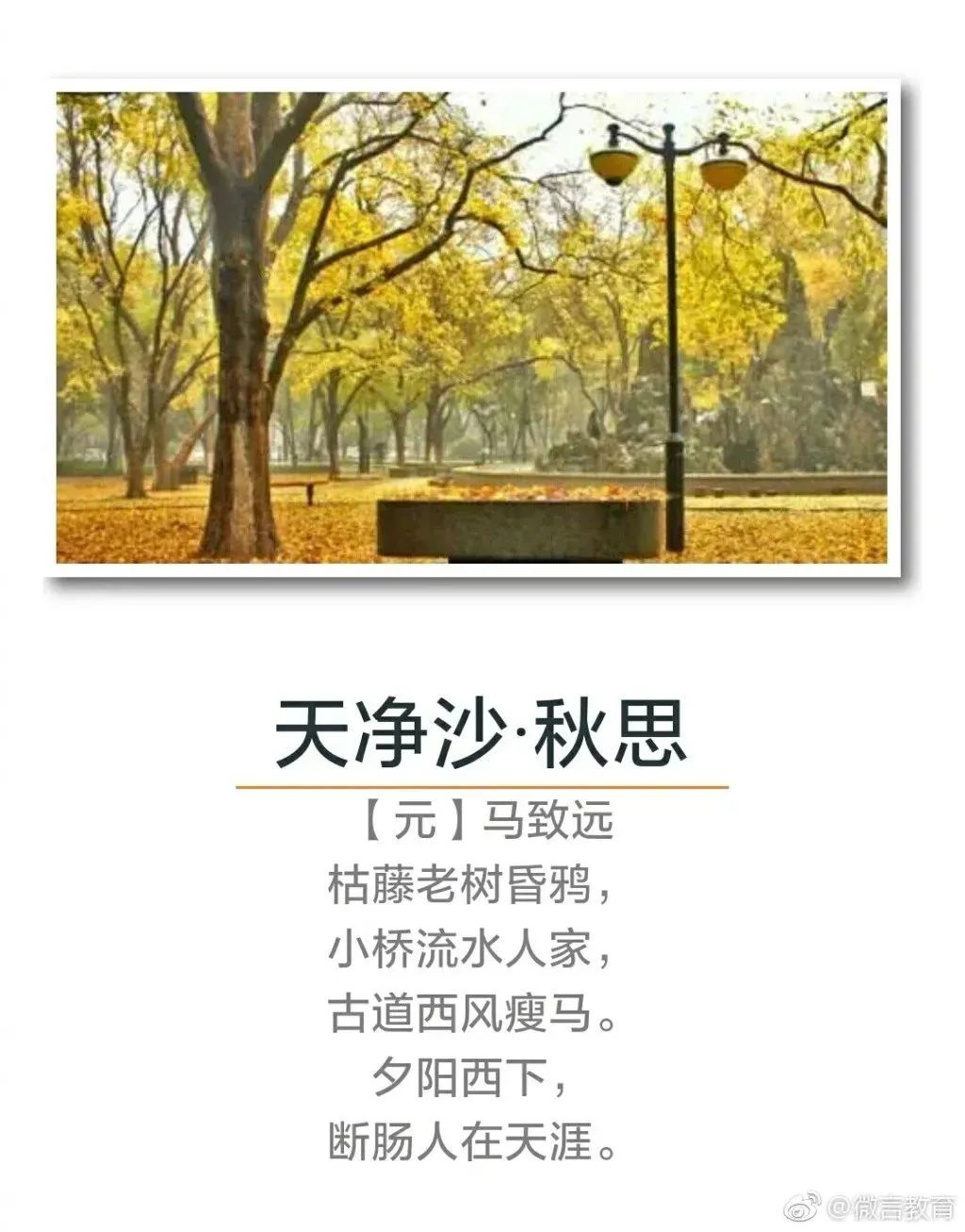 秋天诗句经典名句（关于秋天的千古名句）