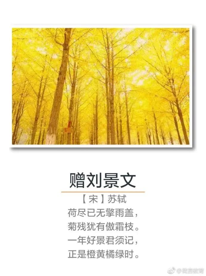 秋天诗句经典名句（关于秋天的千古名句）