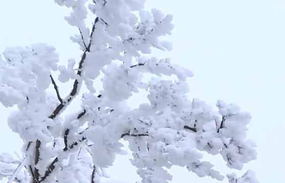 下雪的心情的经典句子（适合下雪发朋友圈的文案）