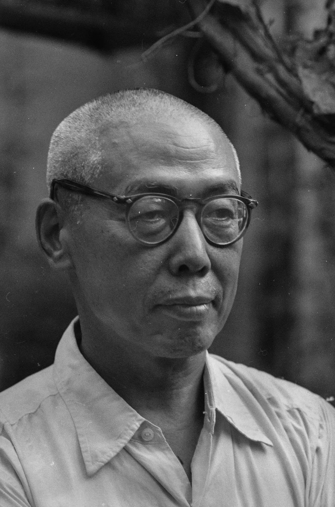 田汉简介及作品介绍（田汉一生的简历）