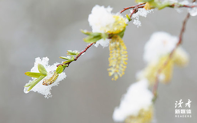 春节祝福语短句（经典祝福语短句）