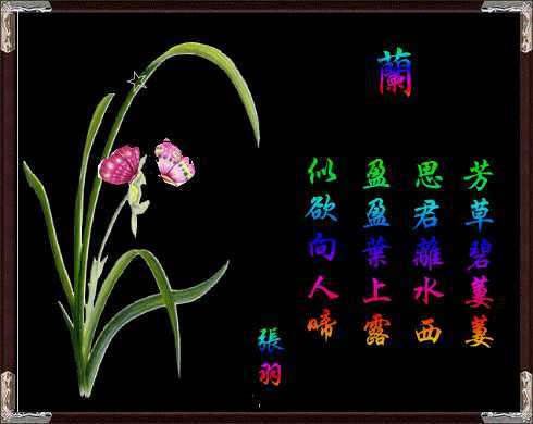 关于路的文章有哪些（关于路的散文随笔）