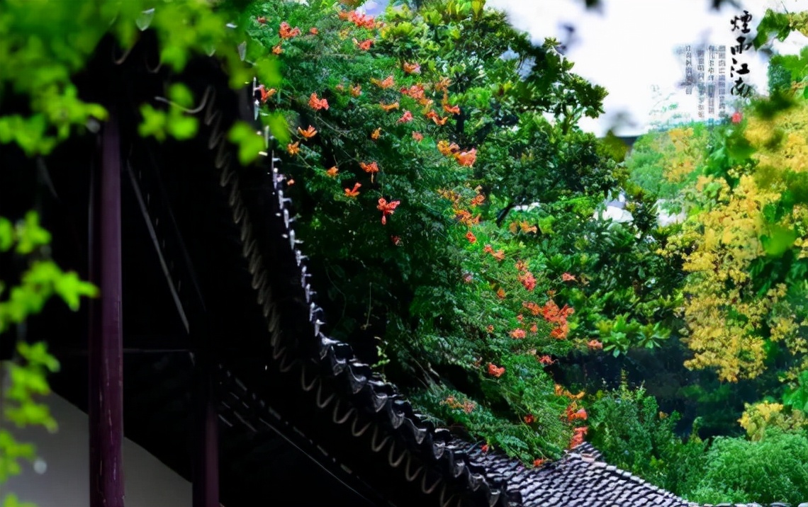 春雨的描写唯美句子（描写春雨的古诗词欣赏）