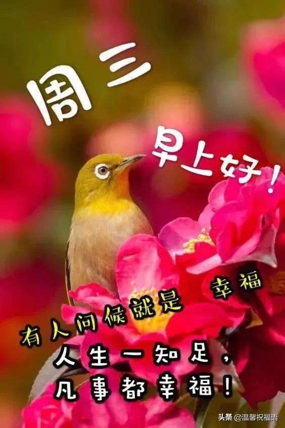 春天的祝福语简短（对春天的美好祝愿）
