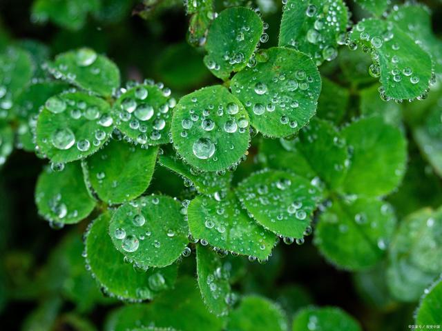 下雨的有意境的短句子说说（雨天幽默正能量的句子）