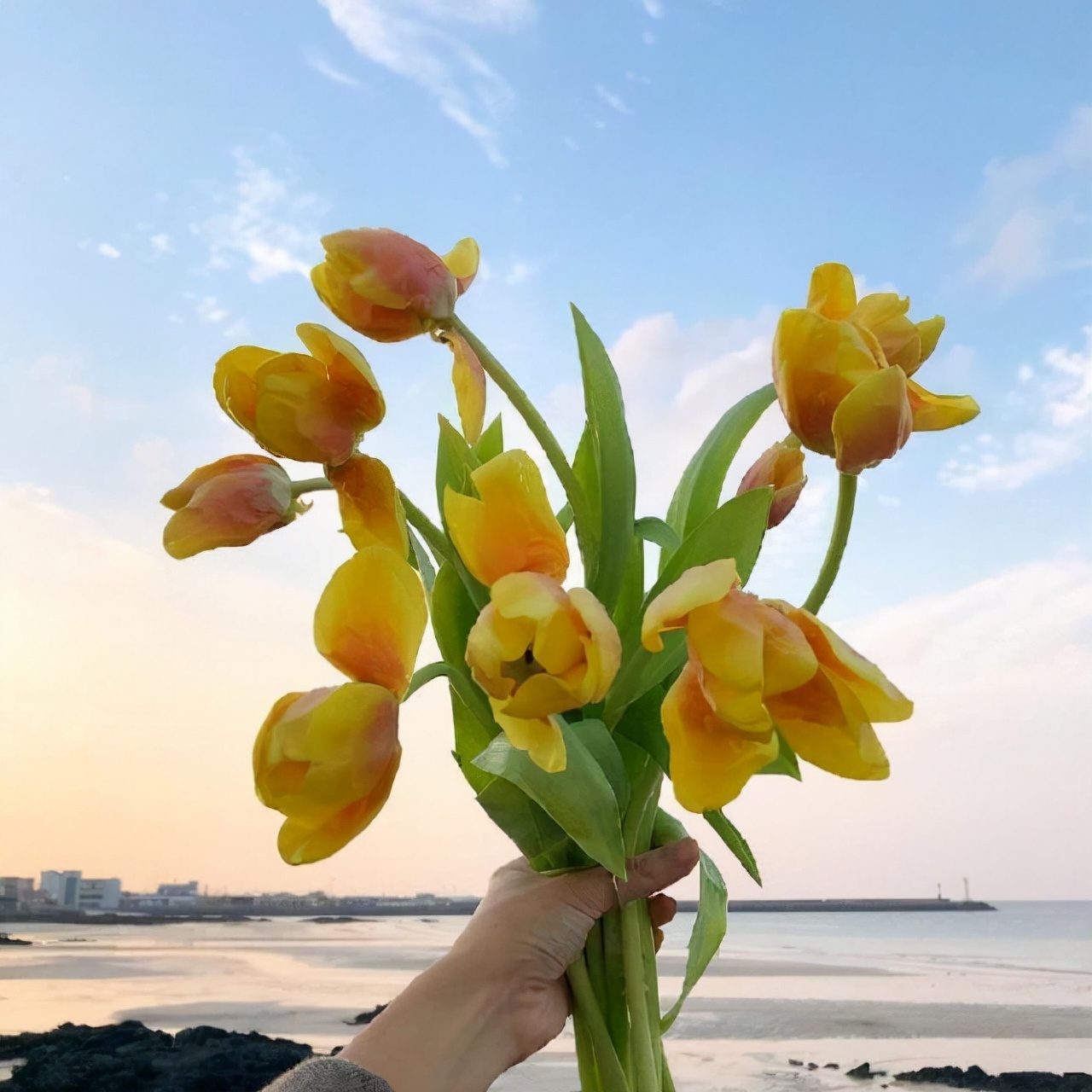 清晨的阳光唯美句子（一句简短的早晨句子）
