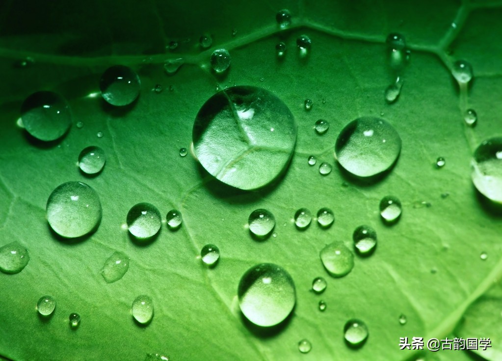 打油诗是什么意思（经典打油诗大全）