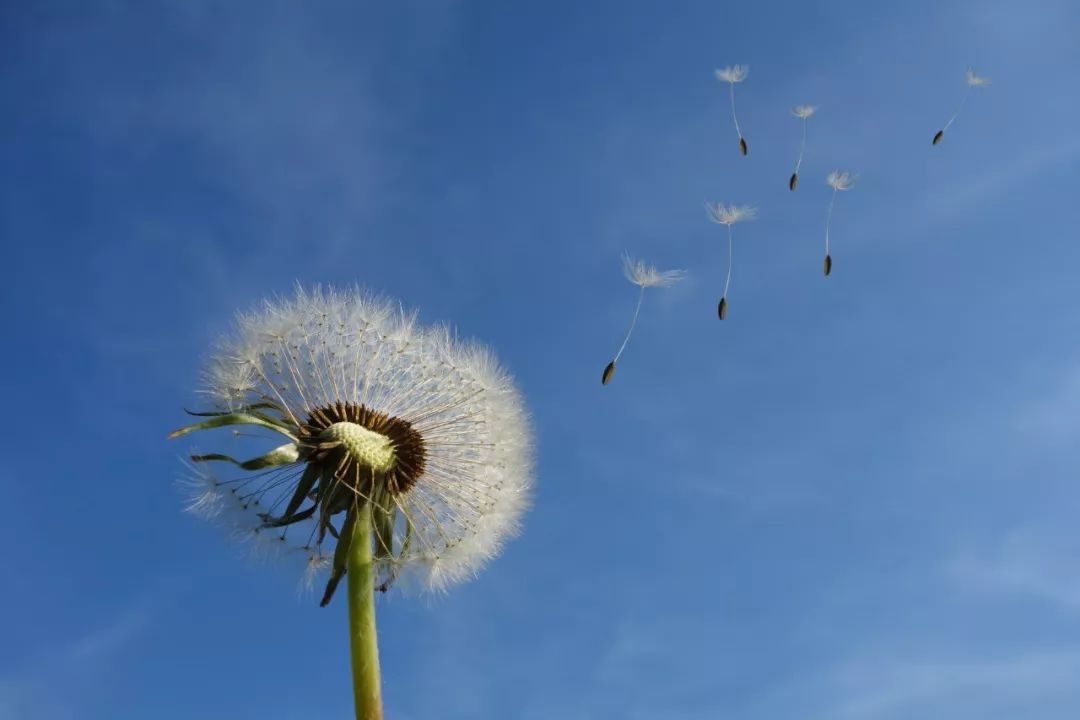 爱情名诗名句大全（浪漫的爱情诗句分享）