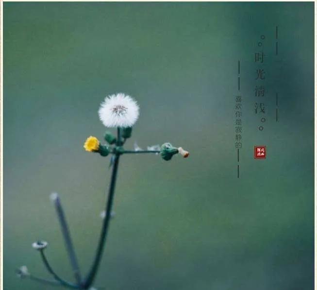 现世安稳岁月静好的句子（愿我念之人安好于岁月）