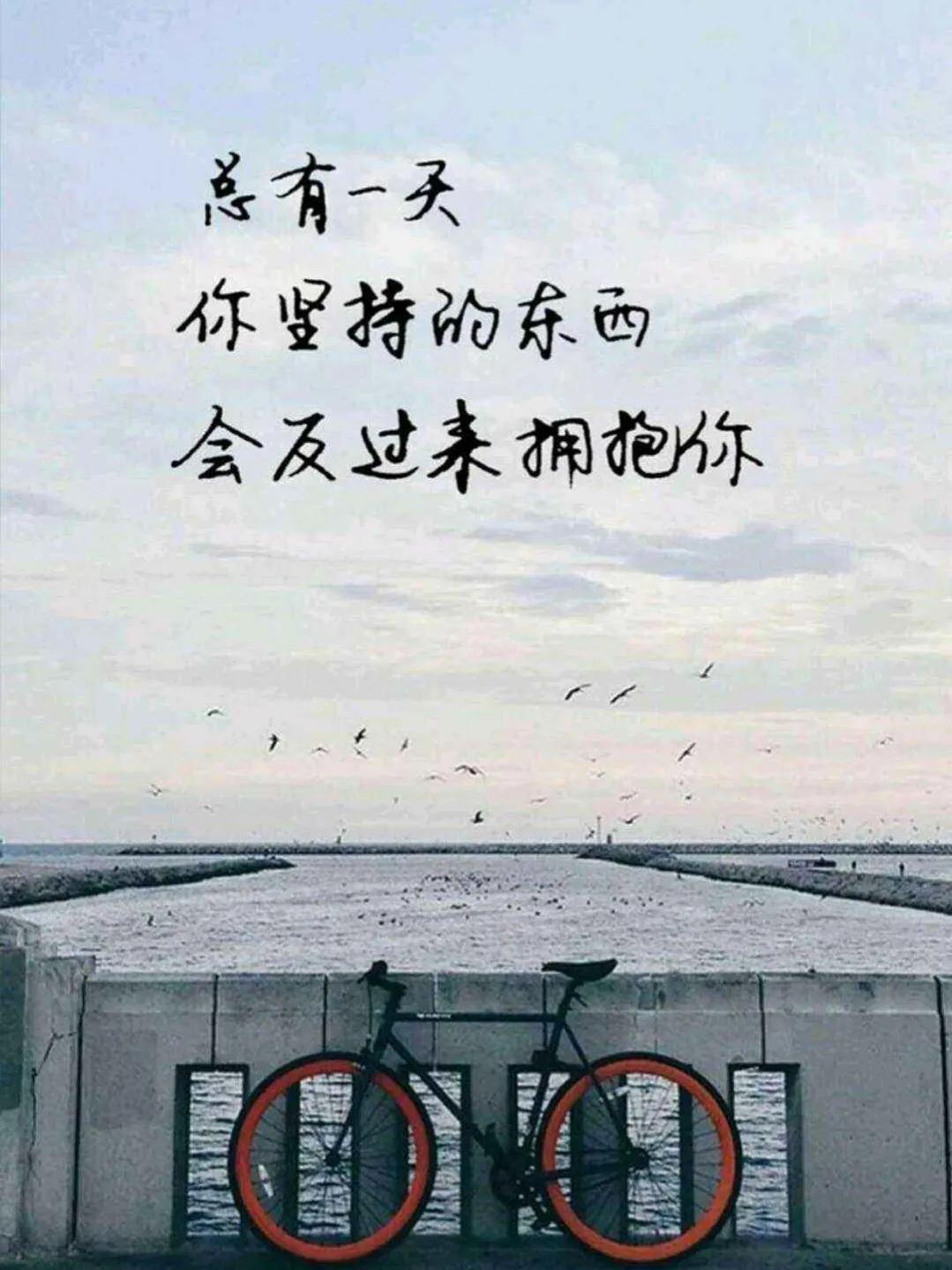 不负韶华的励志句子（表示未来可期的诗句）