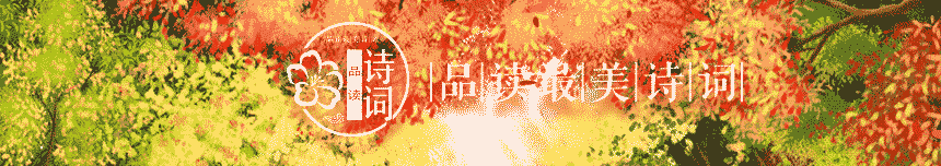 描写菊花的优美句子（形容秋天菊花的句子唯美短句）