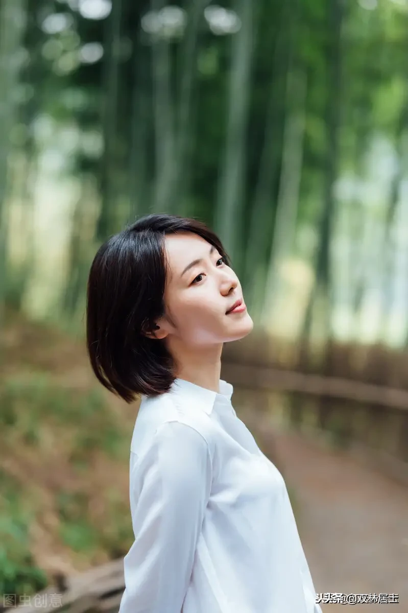 白居易诗集经典（白居易诗集大全鉴赏）