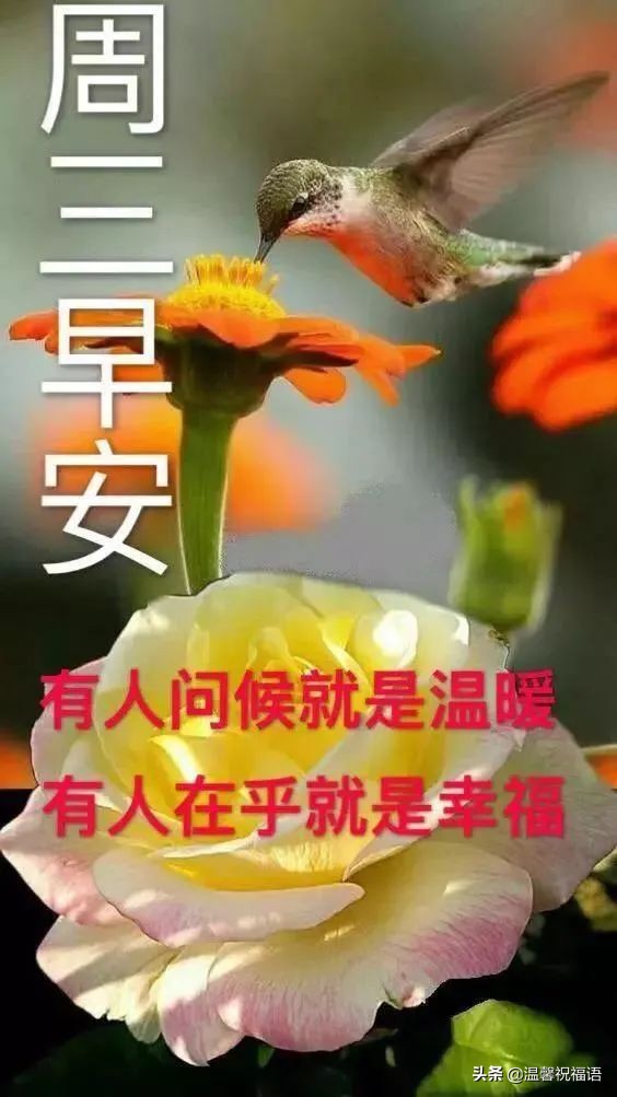 春天的祝福语简短（对春天的美好祝愿）