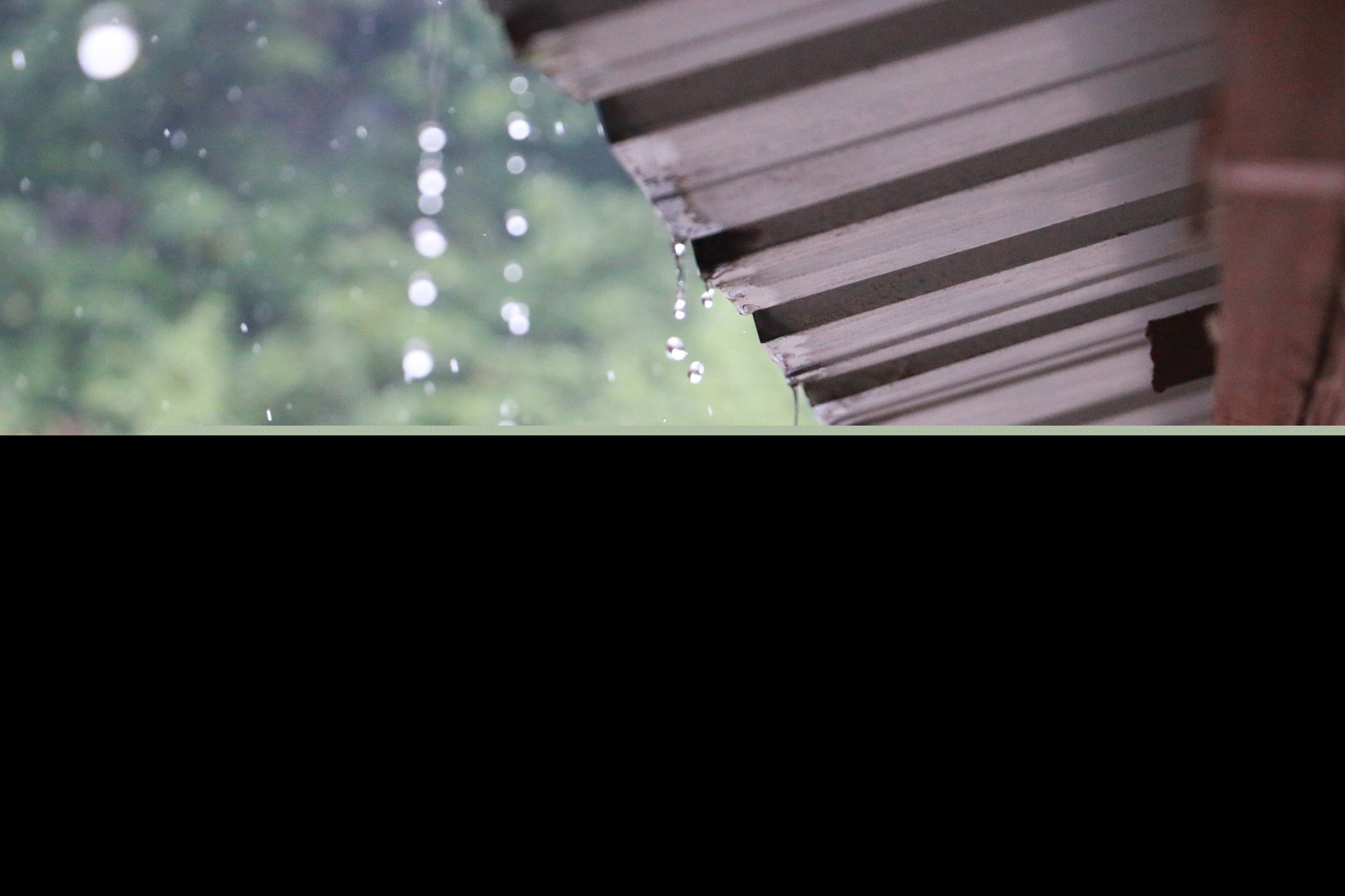 关于雨的诗歌有哪些（描写雨的诗词欣赏）