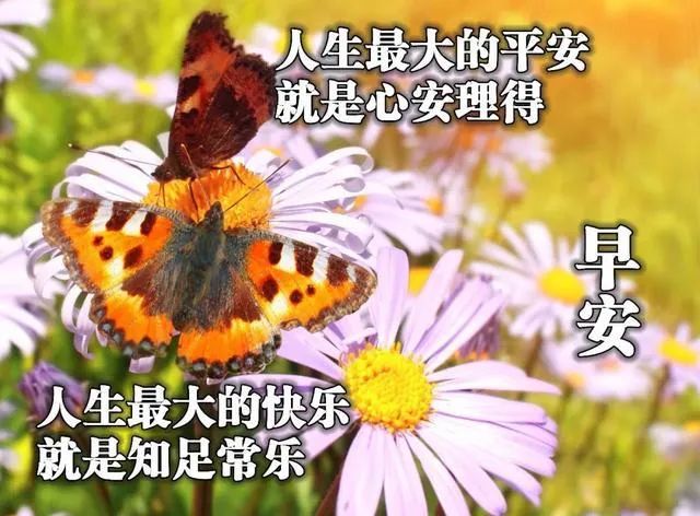 早晨祝福语句好心情（早安心语简短一句话）