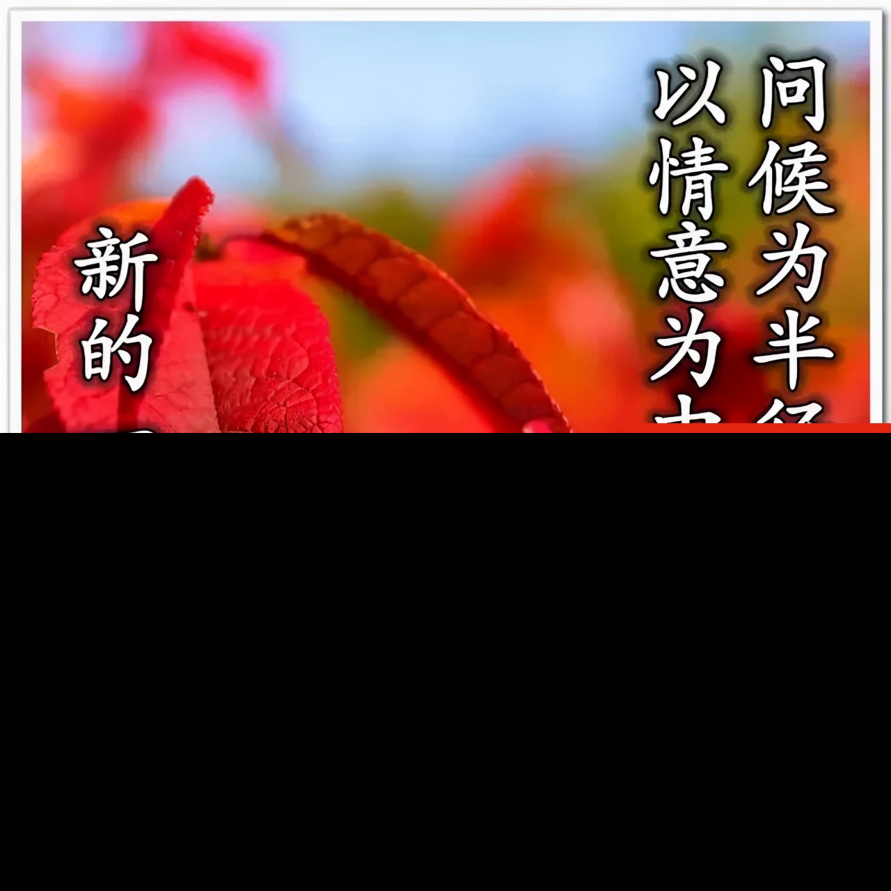 人间真情的优美句子（关于真情的佳句摘抄）