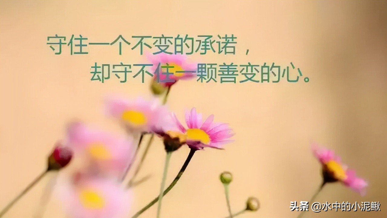 心灵鸡汤青春励志短句（人生鸡汤短句正能量）