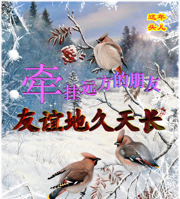 天气冷了注意保暖的句子（注意保暖特别暖心的话）