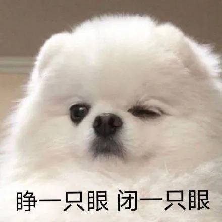 很秀很皮的句子有哪些（很秀很皮的句子大全）