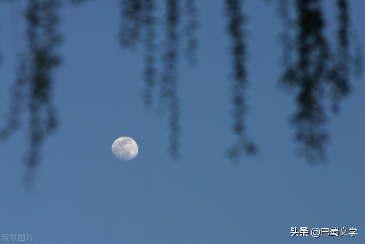 七夕散文经典（关于七夕的现代诗歌朗诵）