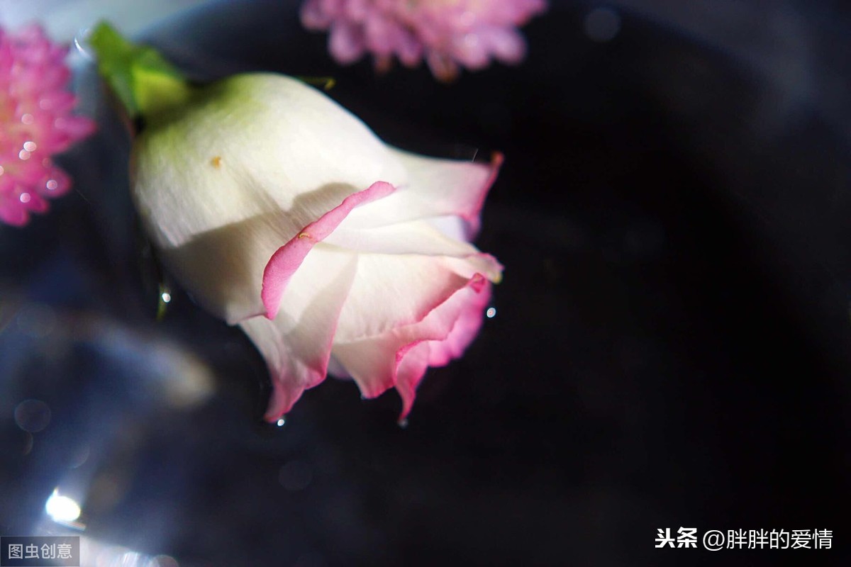 时光静好是什么意思（岁月静好诗句分享）