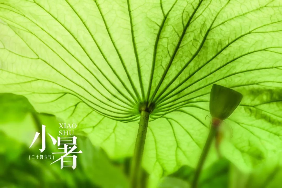 二十四节气的古诗有哪些（关于节气的诗词欣赏）