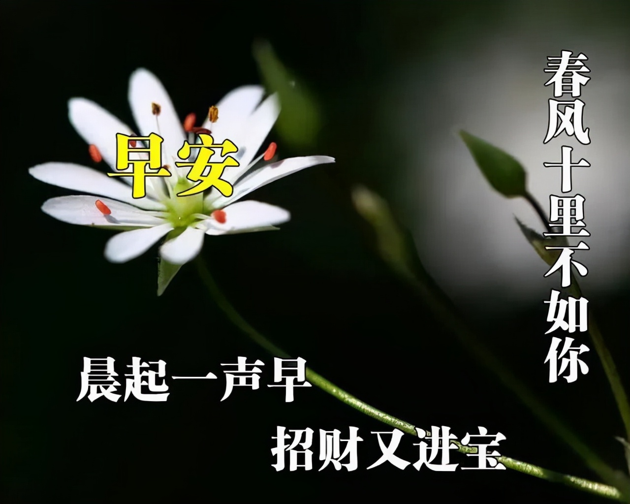 祝自己好运的句子（带来好运和福气的诗句）