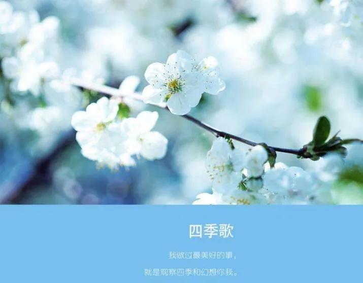 关于春天的好词好句（描写春天的美景短句）