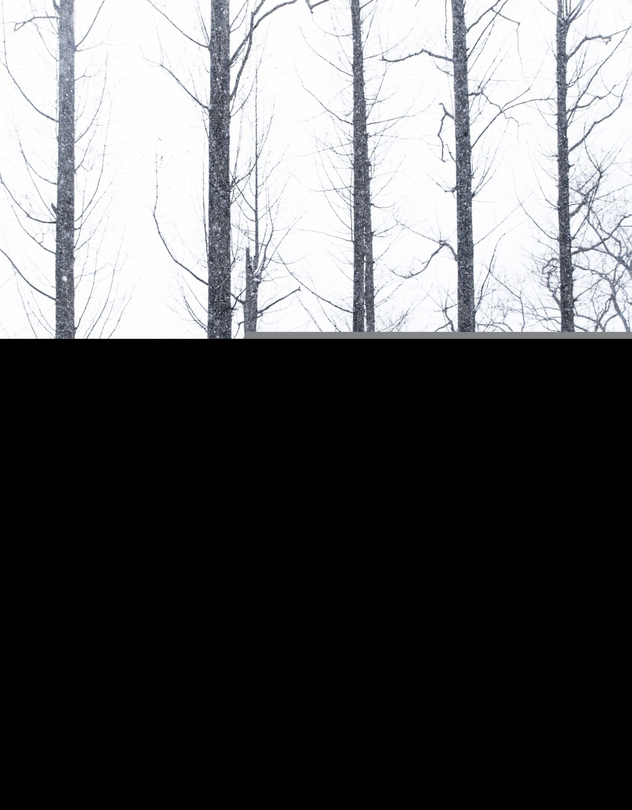 关于雪的优美诗句摘抄（表达雪景的诗句鉴赏）