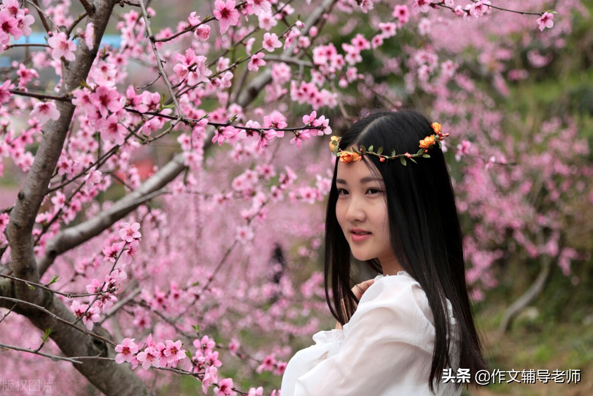 写桃花的作文（桃花满分300字作文）