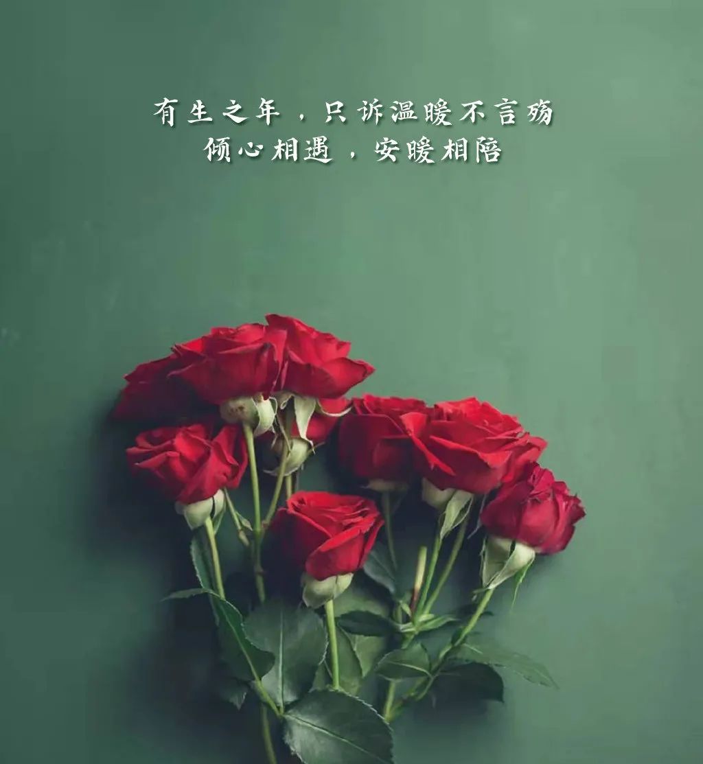 情人节经典语录励志（情人节励志的唯美句）
