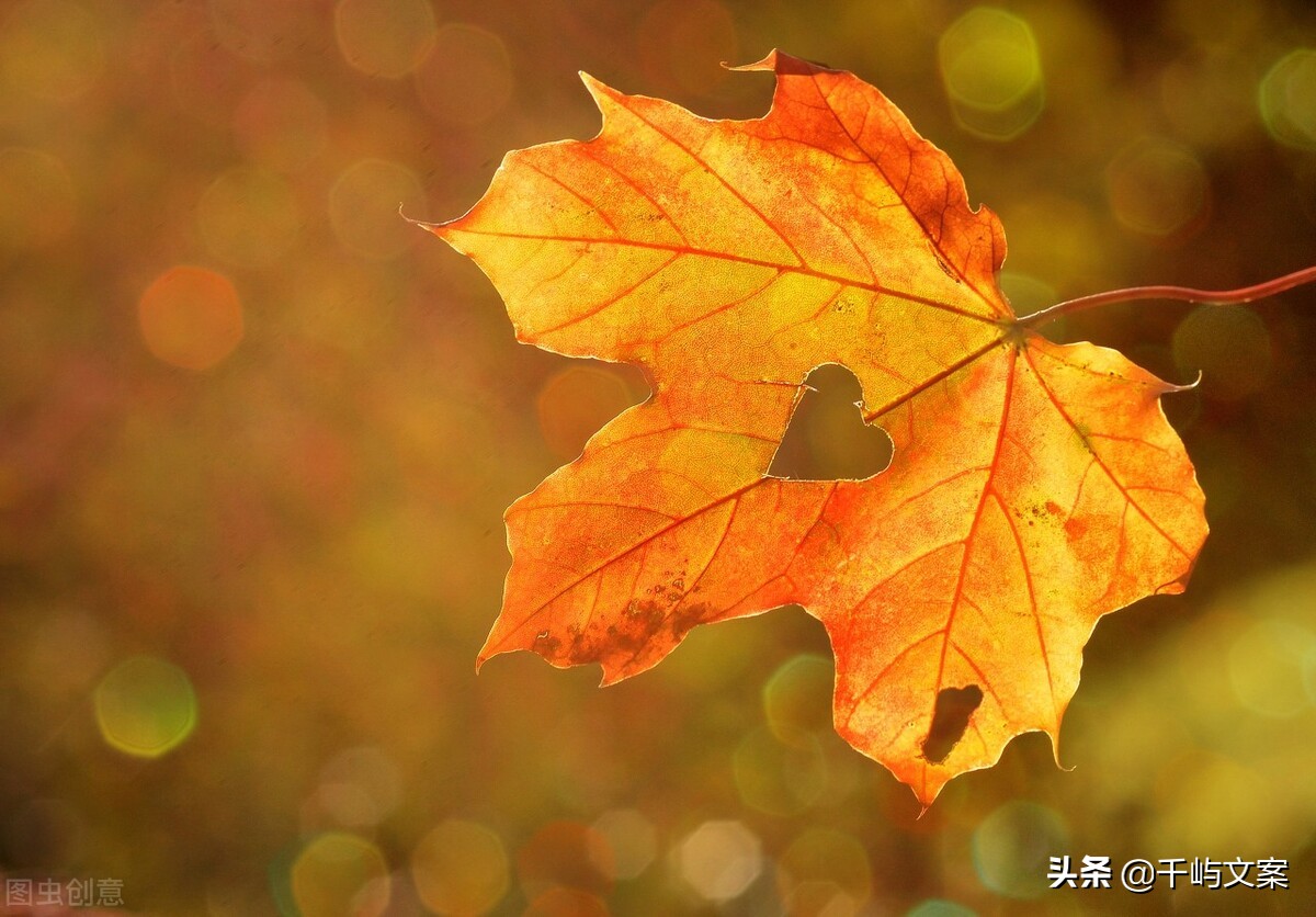 立秋文案短句干净治愈（落日余晖的唯美文案）
