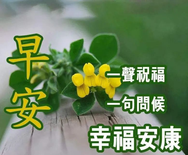 送祝福的唯美句子（唯美祝福有诗意的句子）