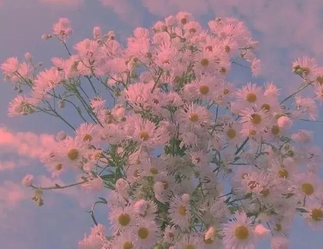 好句好段摘抄大全（初中生必背优美句子）