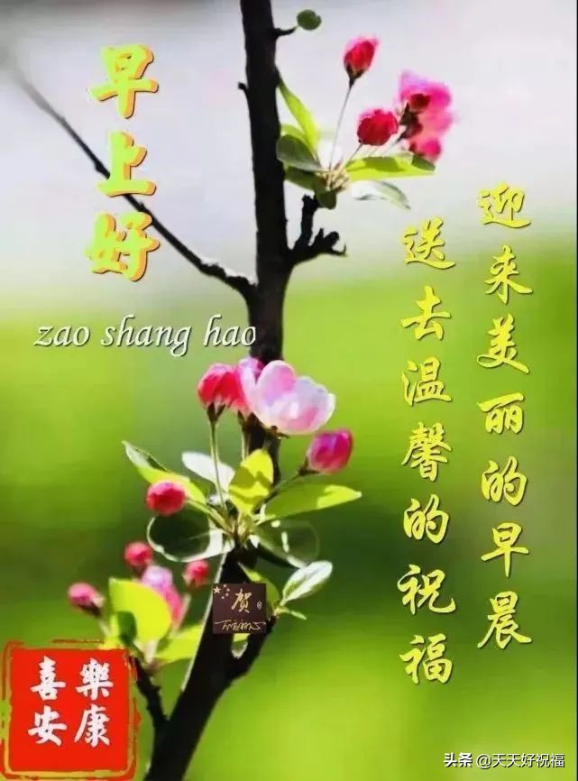 祝福语大全简短赞美（美好祝愿的简短句子）