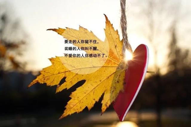 个性说说心情短语（个性经典句子说说心情分享）