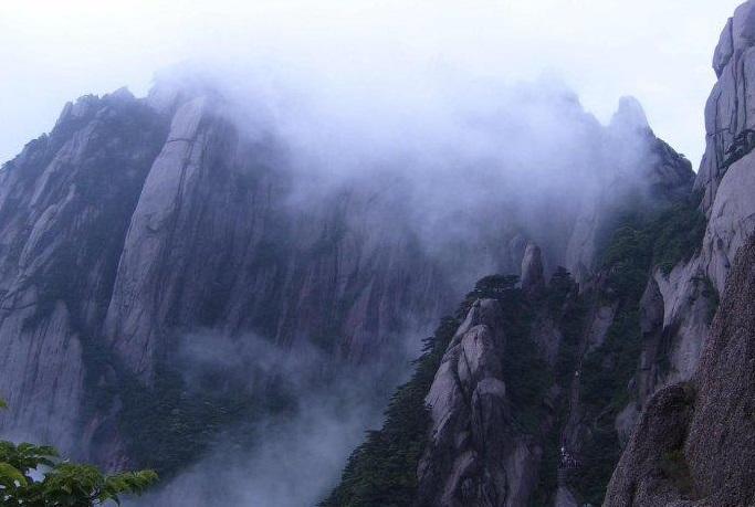 鸟鸣涧王维古诗意思（鸟鸣涧诗意赏析）