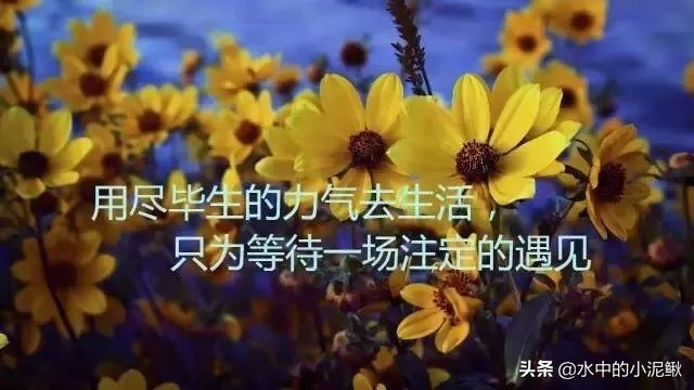早安心语优美的语句励志（正能量励志阳光早安心语）