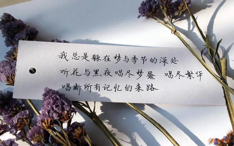 正能量名言名句短语（分享的名言正能量）