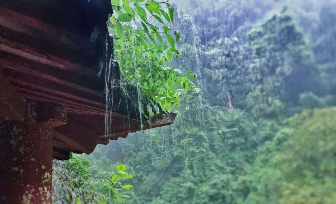 关于雨的诗有哪些（描写雨景的古诗词欣赏）