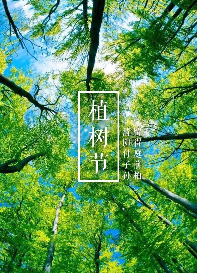 植树节的诗句有哪些（植树节的诗句或名句欣赏）