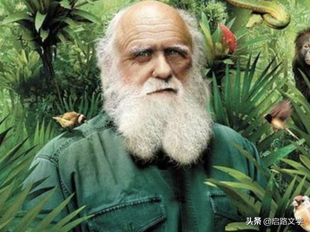 积极乐观的名人名言（积极乐观的心态的句子）